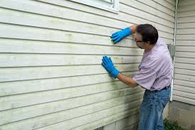 Best Historical Building Siding Restoration  in Orangeburg, SC